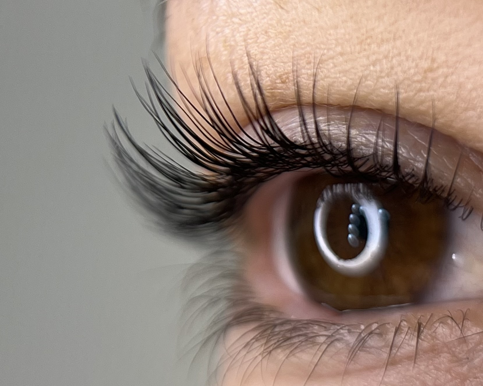 Dramatische Wimpernverlängerung - braunes Auge mit perfektem Lash Lifting